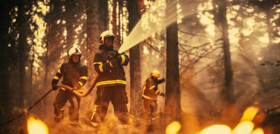 firefighters in the woods